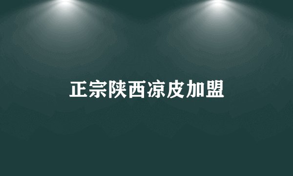 正宗陕西凉皮加盟