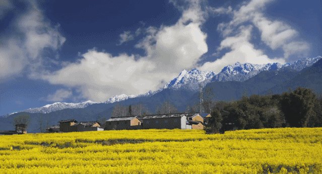 除去裸心谷，国内还有这么多设计绝美的度假村