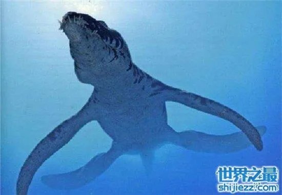 伊西斯龙王鲸是一种远古生物,曾是海洋中的霸主