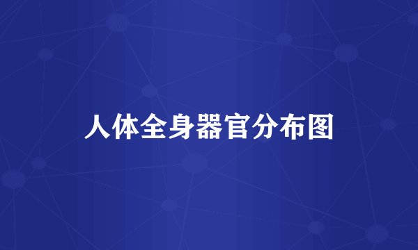 人体全身器官分布图