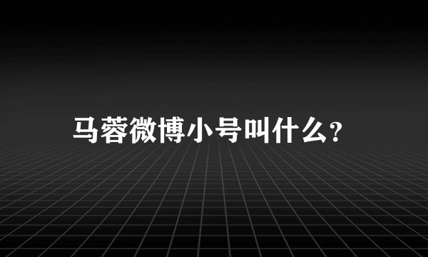 马蓉微博小号叫什么？