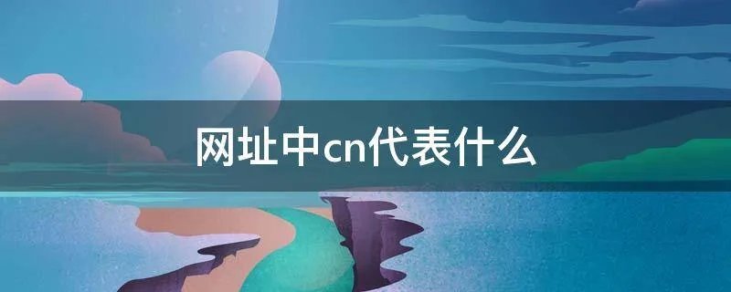 网址中cn代表什么