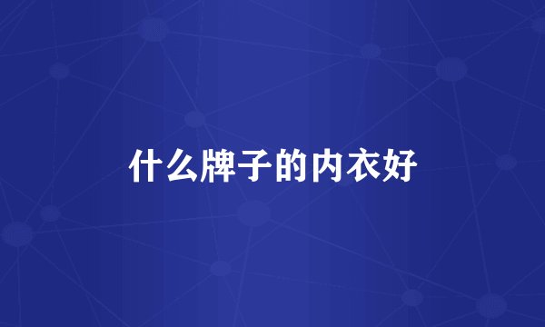 什么牌子的内衣好
