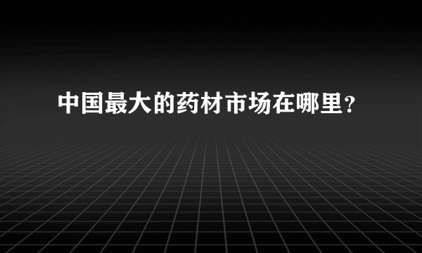 中国最大的药材市场在哪里？