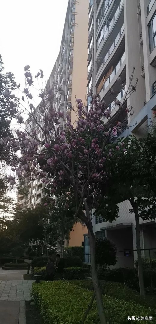 意大利确诊人数已接近1万,距离2万需要多长时间?