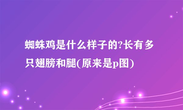 蜘蛛鸡是什么样子的?长有多只翅膀和腿(原来是p图)