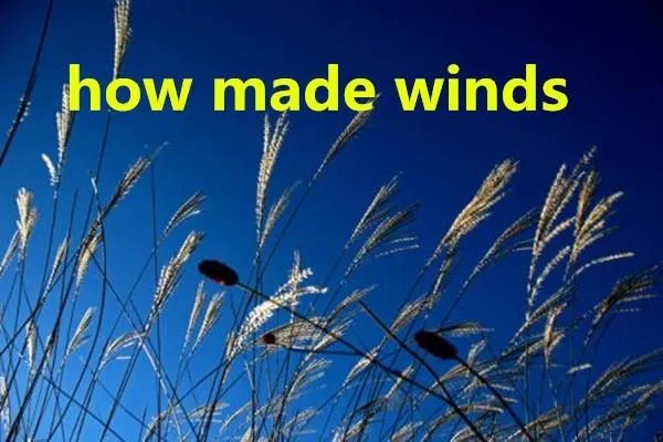 how made winds什么梗?