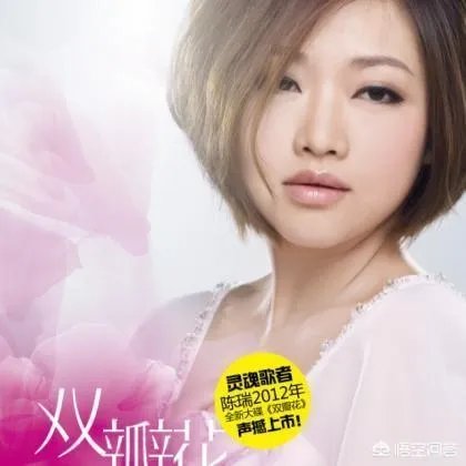 陈瑞的歌传唱度很高,为什么在电视上几乎看不见她?