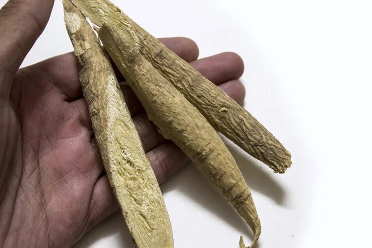 坚持喝黄芪泡水,身体能收获什么益处?和3味中药搭配效果更佳
