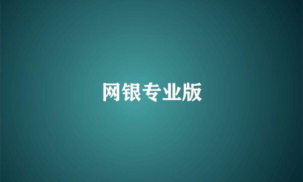 网银专业版