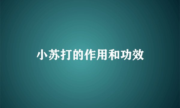 小苏打的作用和功效