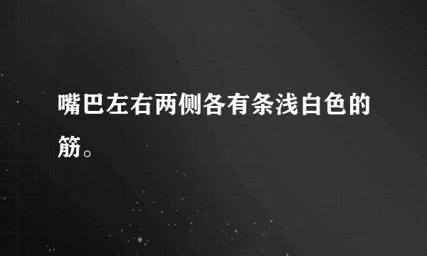 嘴巴左右两侧各有条浅白色的筋。