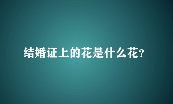 结婚证上的花是什么花？
