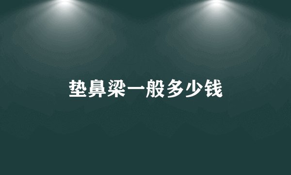 垫鼻梁一般多少钱
