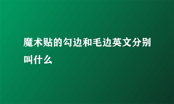 魔术贴的勾边和毛边英文分别叫什么