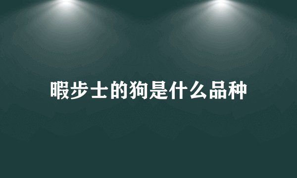 暇步士的狗是什么品种