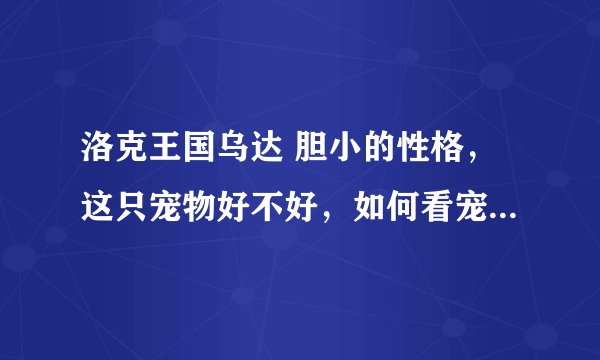 洛克王国乌达 胆小的性格，这只宠物好不好，如何看宠物是不是JP