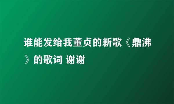 谁能发给我董贞的新歌《鼎沸》的歌词 谢谢