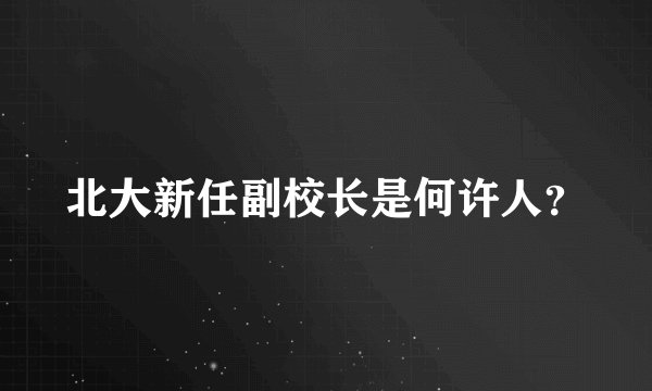北大新任副校长是何许人？