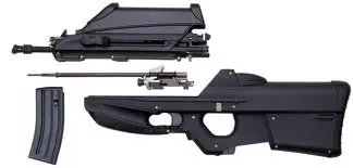 FNF2000步枪