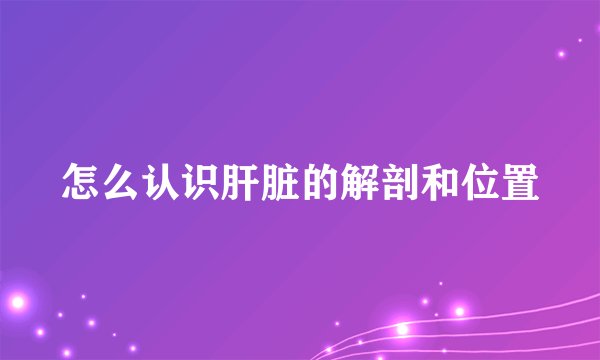 怎么认识肝脏的解剖和位置