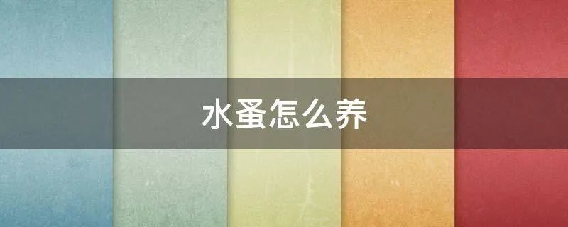 水蚤怎么养
