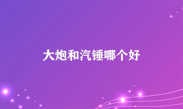 大炮和汽锤哪个好