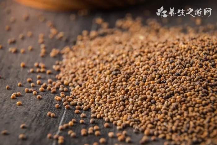 18年鼠的运势,属鼠人在2018年运势及运程如何