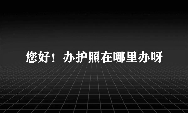 您好！办护照在哪里办呀