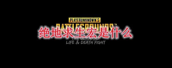 绝地求生宏是什么