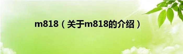 m818（关于m818的介绍）