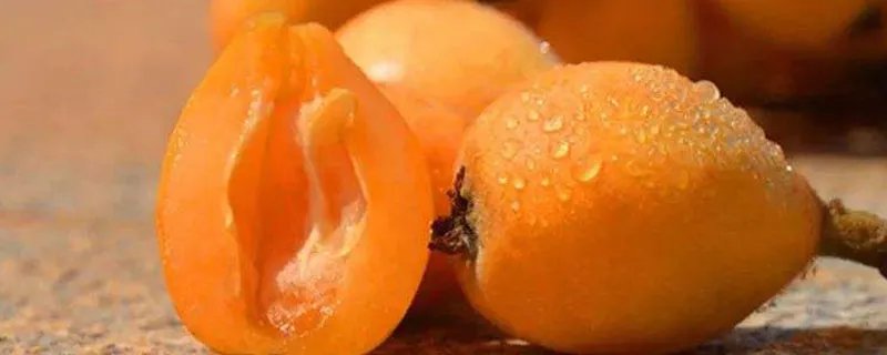 吃枇杷的禁忌