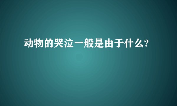 动物的哭泣一般是由于什么?