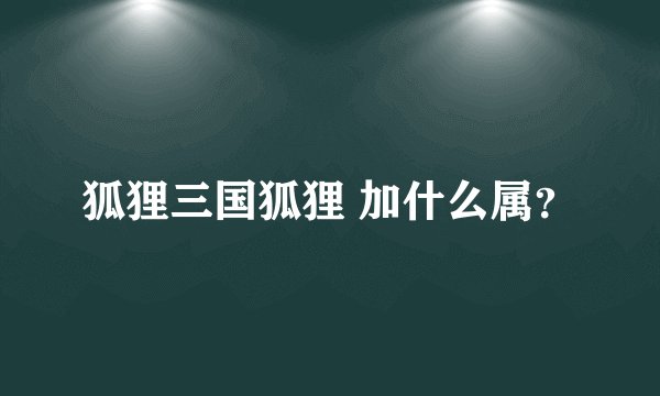 狐狸三国狐狸 加什么属？
