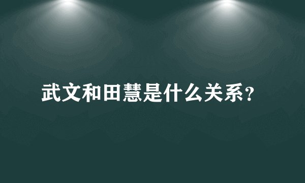 武文和田慧是什么关系？