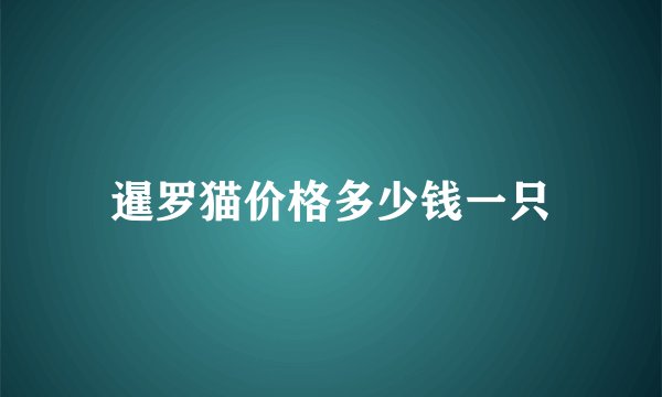 暹罗猫价格多少钱一只