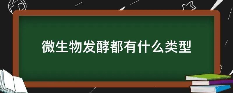 微生物发酵都有什么类型