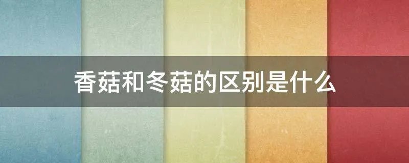香菇和冬菇的区别是什么