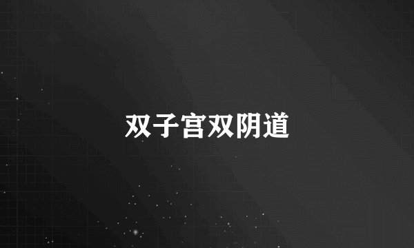 双子宫双阴道