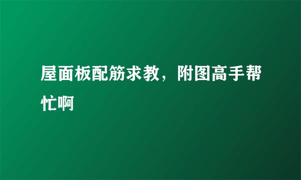 屋面板配筋求教，附图高手帮忙啊