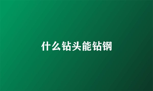 什么钻头能钻钢