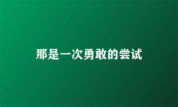 那是一次勇敢的尝试