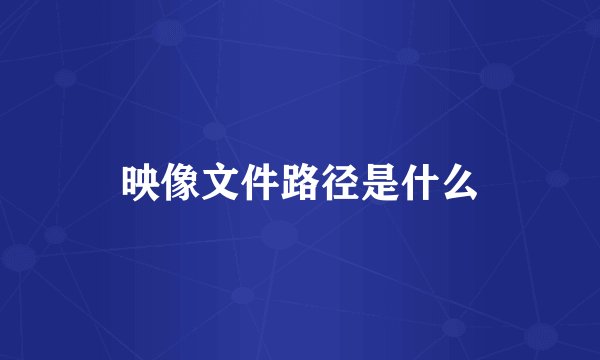 映像文件路径是什么