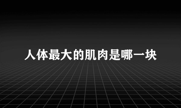 人体最大的肌肉是哪一块