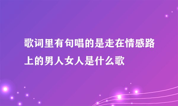歌词里有句唱的是走在情感路上的男人女人是什么歌