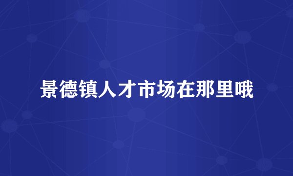 景德镇人才市场在那里哦