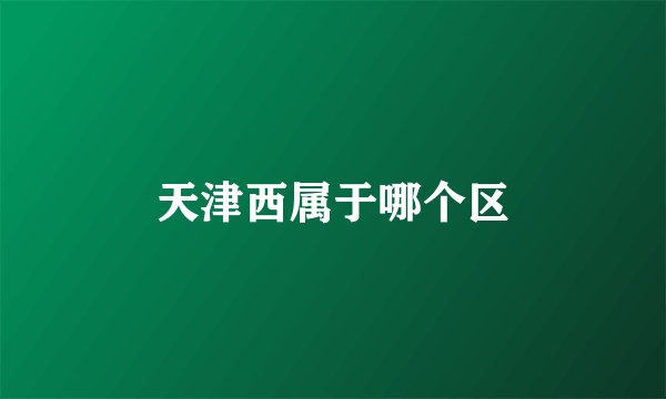 天津西属于哪个区