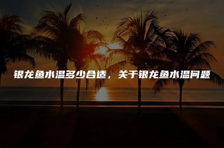 银龙鱼水温多少合适，关于银龙鱼水温问题