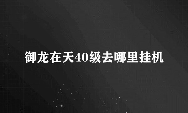 御龙在天40级去哪里挂机