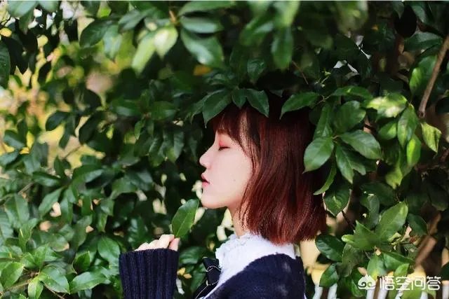 杭州的太子湾公园好玩吗?是否值得周末去玩?
